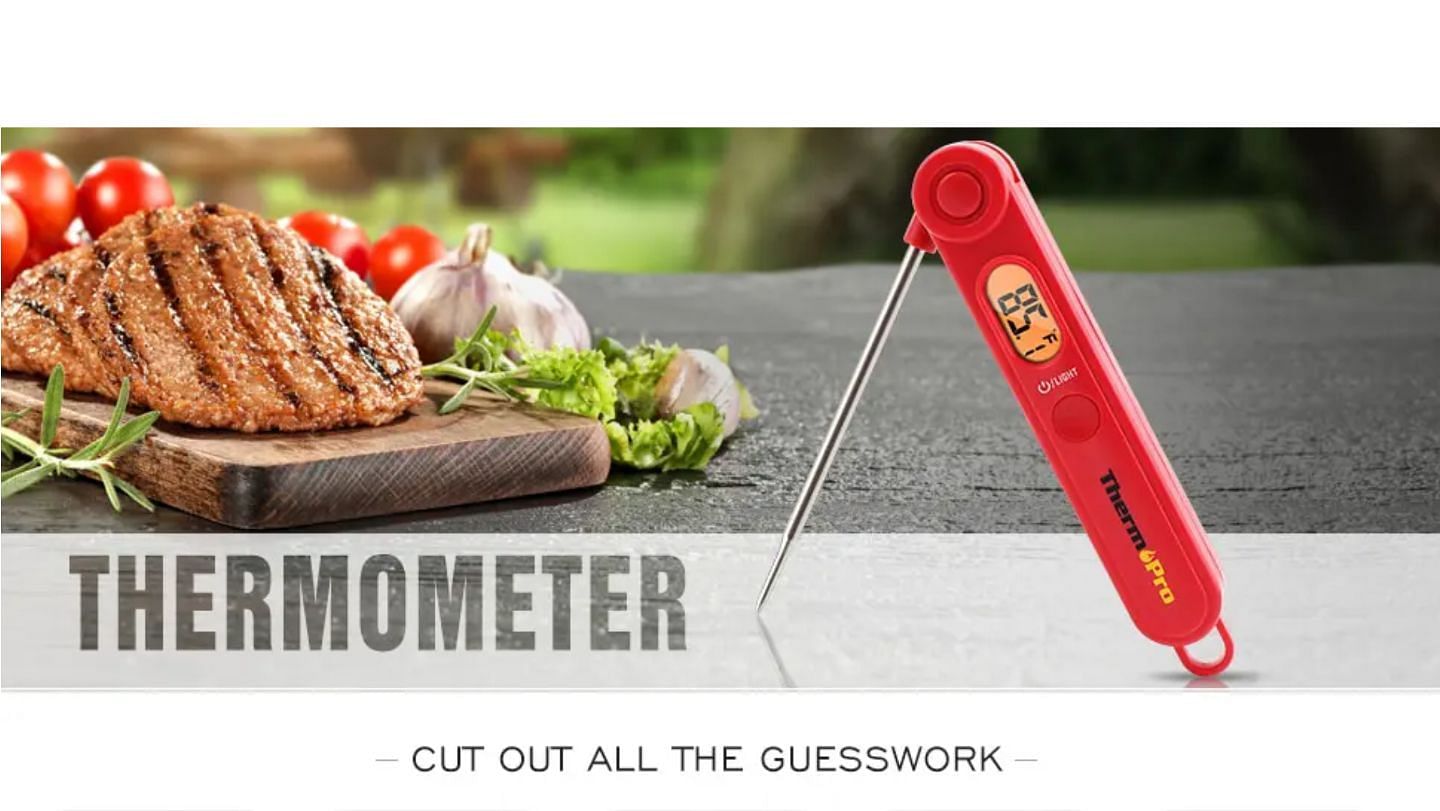 Thermopro digital thermometer (Image via buythermopro.com)